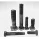 High quality hex bolts hot dip galvanizing grade 8.8 for steel structural