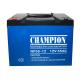 China Champion UPS Battery 12V55Ah NP55-12 Lead Acid AGM Battery VRLA Battery, SLA Battery