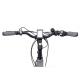 36V 250W Electric Mountain Bikes High Configuration Lightweight Lady
