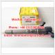 BOSCH Original and New injector 0445110101 , 0 445 110 101 ,3380027000/33800-27000,3380027010/33800-27010 Genuine Bosch