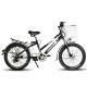 24 Brushless Motor Electric Bicycle with 48V 250W Power and 12AH Battery in Bangladesh
