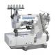 Interlock Sewing Machine with Decoration Seam FX500-10SZ