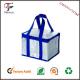 Outdoor Convenient Insulating effect cooler bags for picnic