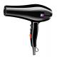 AC Motor Professional Salon Hair Dryer With Concentrator Nozzle CE Certified