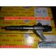 BOSCH common rail injector 0445120244, 0445120150 for WEICHAI WP6 13024966