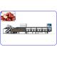 16 Channel Agricultural Product Sorter 2 T/H Automatic For Red Dates