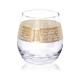 Fashion New Clear Glass Wine Glass Set Lead Free Crystal Glass Gift