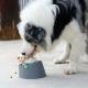 Pet Slow Food Bowl Dog Lick Pad Puzzle Leaky Ball Toy