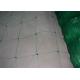 Extrusion Type Plant Support Net Used For Vines Vegetable Crops 24x24cm Mesh Size
