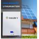 ROHS Wall Mounted Lithium Powerwall Solar Battery 10kwh 7kwh 5kwh