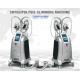 Cryolipolysis slimming equipment Europe popular 4 handpieces cryomed cryolipolysis rf slimming machine