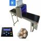 12V 4A High Speed Egg Marking Equipment With 2mm - 9mm Printing Word Height