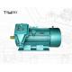 6 Poles Flame Proof Three Phase Asynchronous Motor 10000V