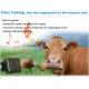 Animal tracking device for cow tracker gps sos button/alarm waterproof solar wireless char