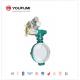 Electric CF8 PTFE Lined Butterfly Valve Flanged Style Fluorine Chemical use