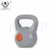 PE And Cement Material Fitness Equipment Kettlebells With Sand Filled