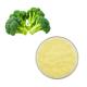 Natural Supplement Broccoli Seeds Sprout Extract 5% 10% 1% Sulforaphane Powder