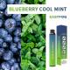 2 In 1 Blueberry Mint Disposable Vape Cigarette 5.0ml E Liquid Refilled 2000 Puffs