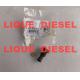 BOSCH F00N203165 F 00N 203 165 51111070032 Injection Valve