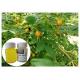 Scar Removal Rosehip Fruit Oil Cold Pressing Yellow Color With Linolieic Acid