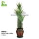 Anti UV Artificial Succulent Plant Landscaping Tropical Fiber Agave