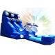High Safety Outdoor Water Slide , Commercial Slip And Slide Dolphin Design Lead