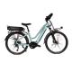 26 Inch Mid Drive Electric Bike 250W Hydraulic Disc Brake Bicycle For Adult