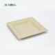 Eco Friendly Disposable Sugarcane Food Container Biodegradable Bagasse Sushi Tray