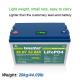 Stable 100A Waterproof Lifepo4 Battery , Practical Lithium Ion Iron Phosphate