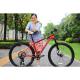 Hot Bicycle Mountain Bike Mtb for Adults 27.5*15/17 Frame Size and Air Suspension