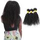 Blonde3 Bundles Of Water Wave Crochet Hair , Long Water Wave Crochet Braids