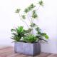 Natural Wood Artificial Landscape Trees Lily Bamaboo For Home Decor Evergreen No Water
