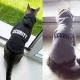 Eco Friendly Cute Cat Hoodie , Warm Pet Costumes For Small Dogs