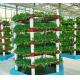 Seeding/Vegetables/Fruit/Flower Controlled Environment Hydroponic Seedling Greenhouse