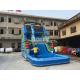 Summer Palm Tree Inflatable Outdoor Water Slide With Printing