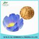 China Manufacturer Blue Lotus Extract/Dried Blue Lotus Flower Extract/GMP Blue Lotus Powder