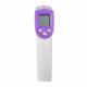 Handheld Clinical Electronic Thermometer