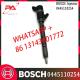 Diesel Fuel Injector 0445110253 0445110254 33800-27800 For Hyundai Santa Fe 2.2 CRDi