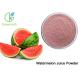 Non Pigment Instant Watermelon Fruit Juice Extract Light Pink Fine Powder