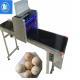 Large Characters Egg Batch Coding Machine With USB External Database Printing