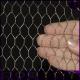 1/2 or 1 mesh hole Durable Chicken Wire Mesh , Hot Dipped Poultry Netting Fence