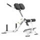 Rohs Roman Chair Back Extension Exercise Machine for Gym