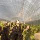 Large Affordable Hydroponic Tunnel Greenhouse Solution Package Gross Weight 20.000kg