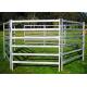 Eco Friendly White Color Sheep Fence Panels 1000X2100mm By Square Tube