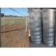 Cattle Farming Fence / Hot-Dipped Filed Wire Mesh Fence For Poultry