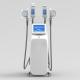Beauty Salon Mini Cryolipolysis Fat Freezing Machine