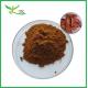 Natural Herbal Supplement Bulk Rhodiola Rosea Extract Capsules Rhodiola Rosea Powder