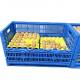 Farm Storage Solution PP Egg Plastic Crate with 8/12/14 Trays Mesh Box Style Customized