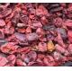 Manchurian Tubergourd Fruit Thladiantha dubia Bge dried whole fruit use as traditional chinese medicine