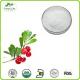 Most Popular Product Arbutin 99% Bearberry Extract